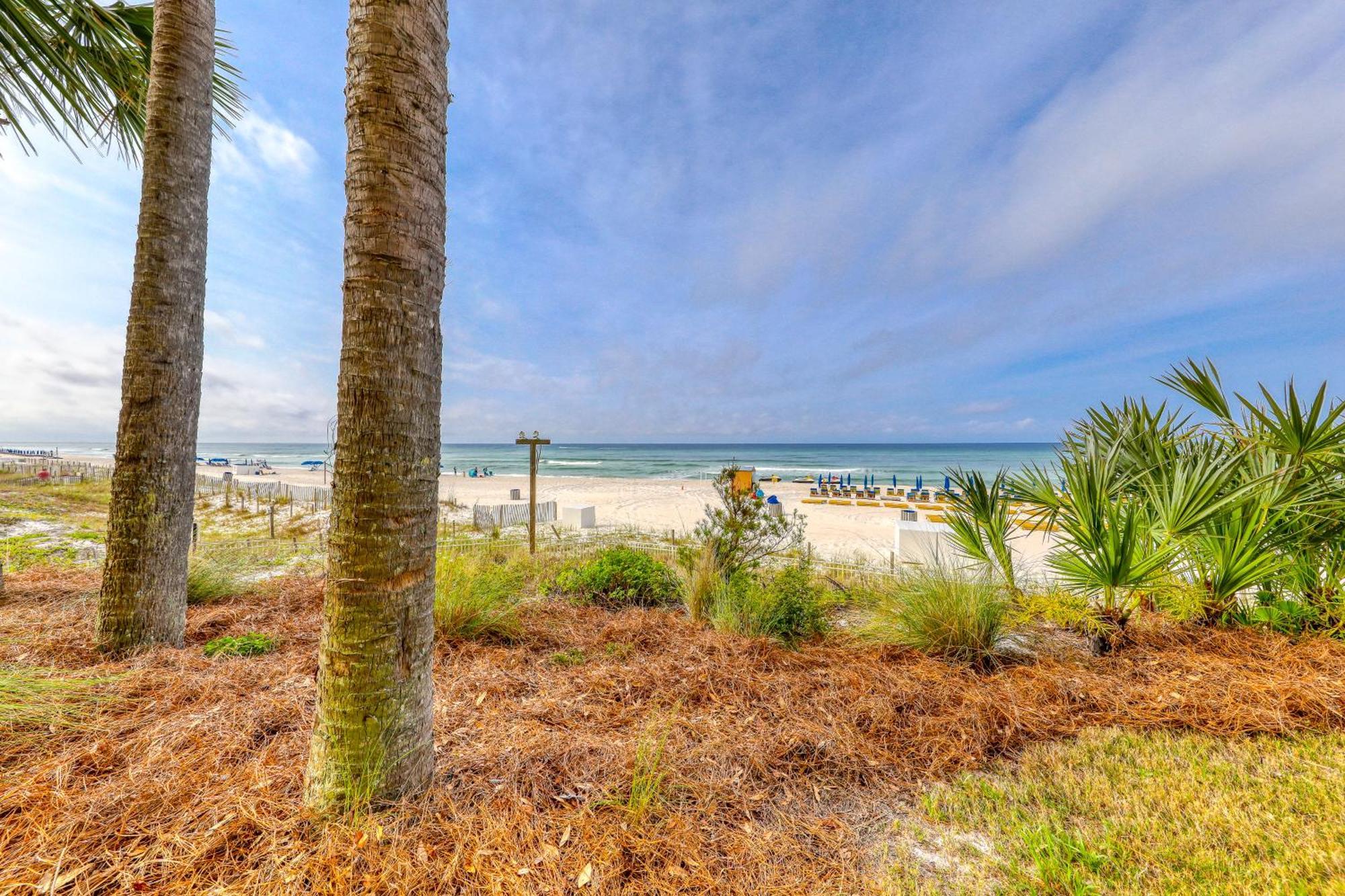 פנמה סיטי ביץ' Calypso Resort מראה חיצוני תמונה